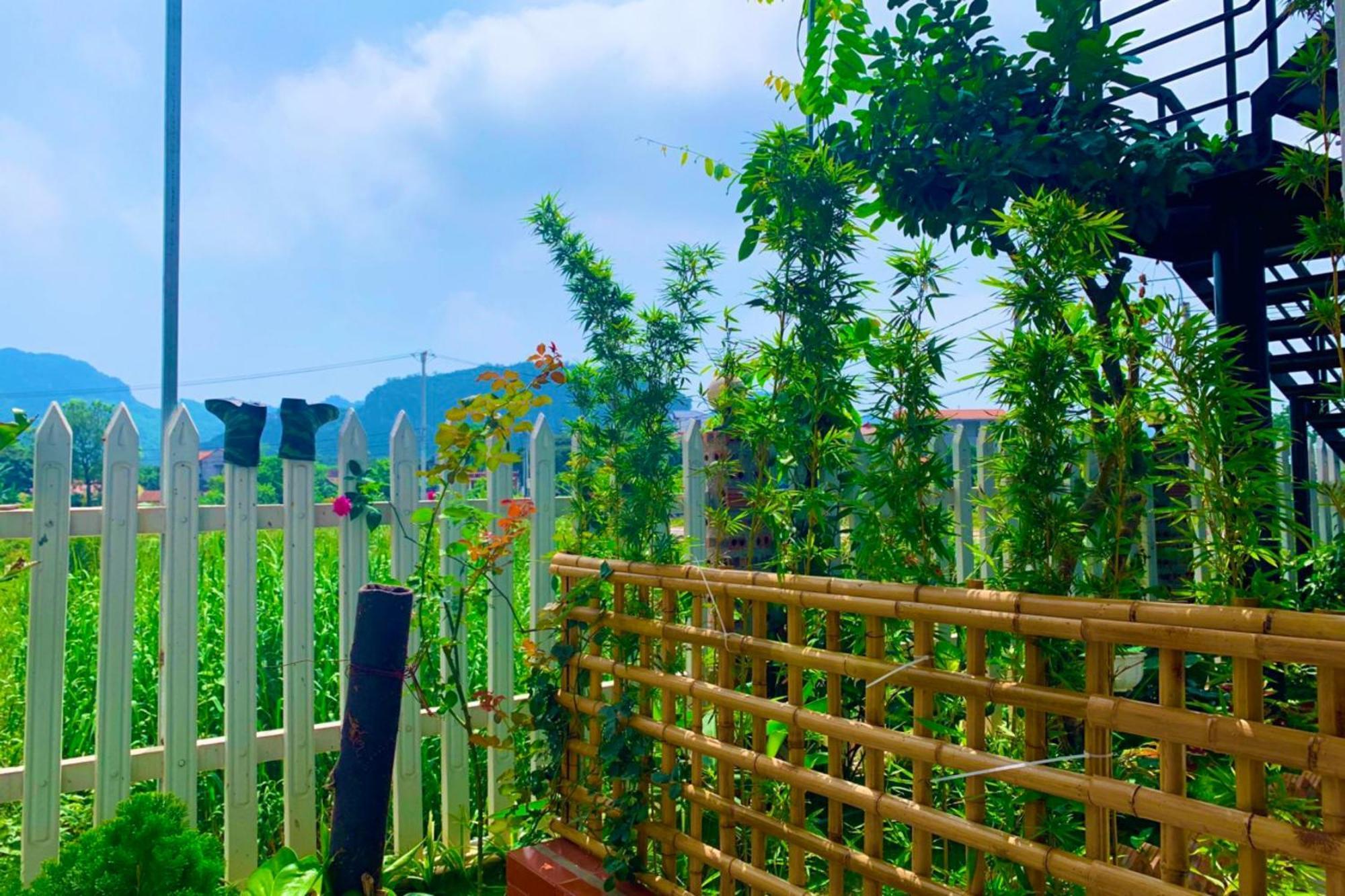 The Pineapple House Bed & Breakfast Ninh Binh Exterior photo